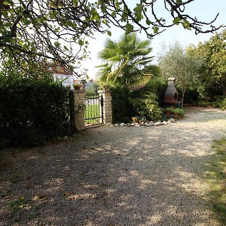 Gianna N2, 600 M From The Beach Novigrad Istria Dış mekan fotoğraf