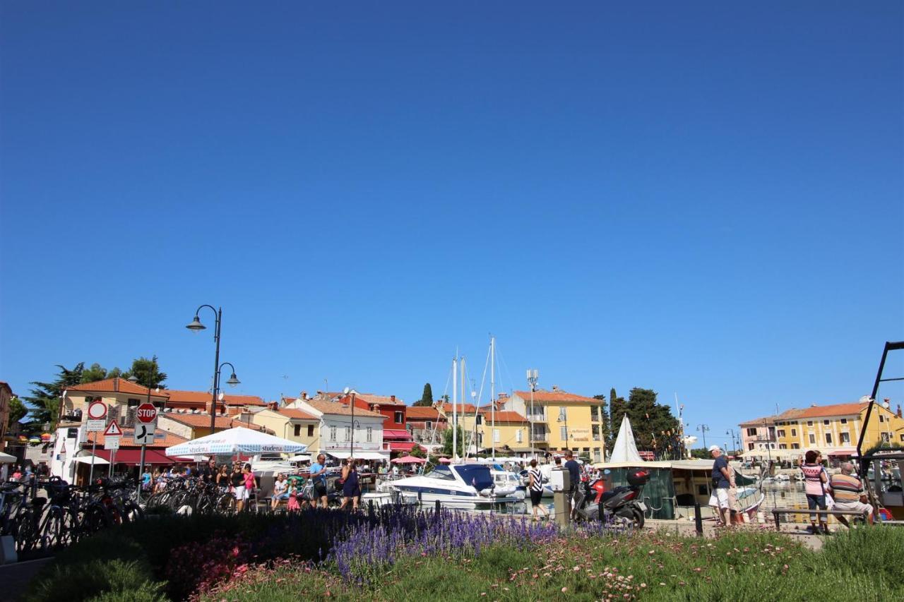 Gianna N2, 600 M From The Beach Novigrad Istria Dış mekan fotoğraf